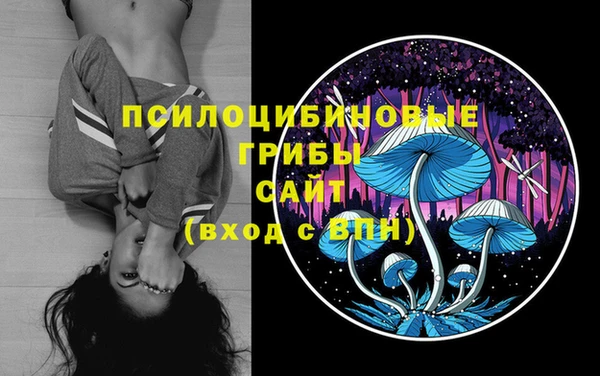 спайс Надым