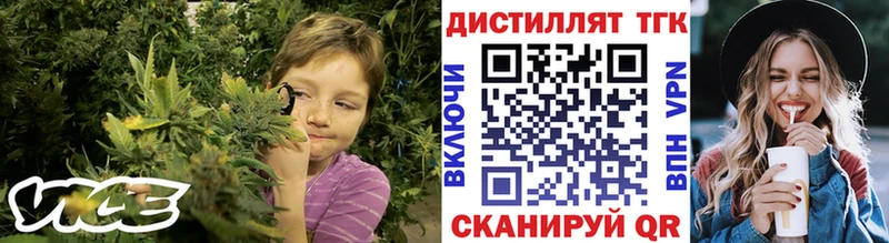 MEGA как войти  Новосиль  ТГК Wax 