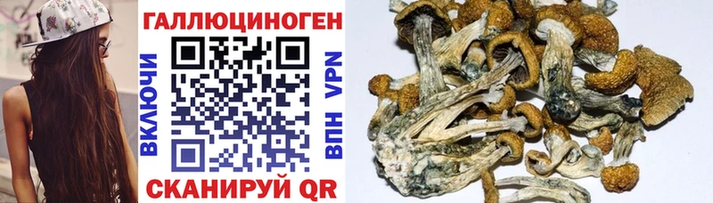 Псилоцибиновые грибы мухоморы  Новосиль 